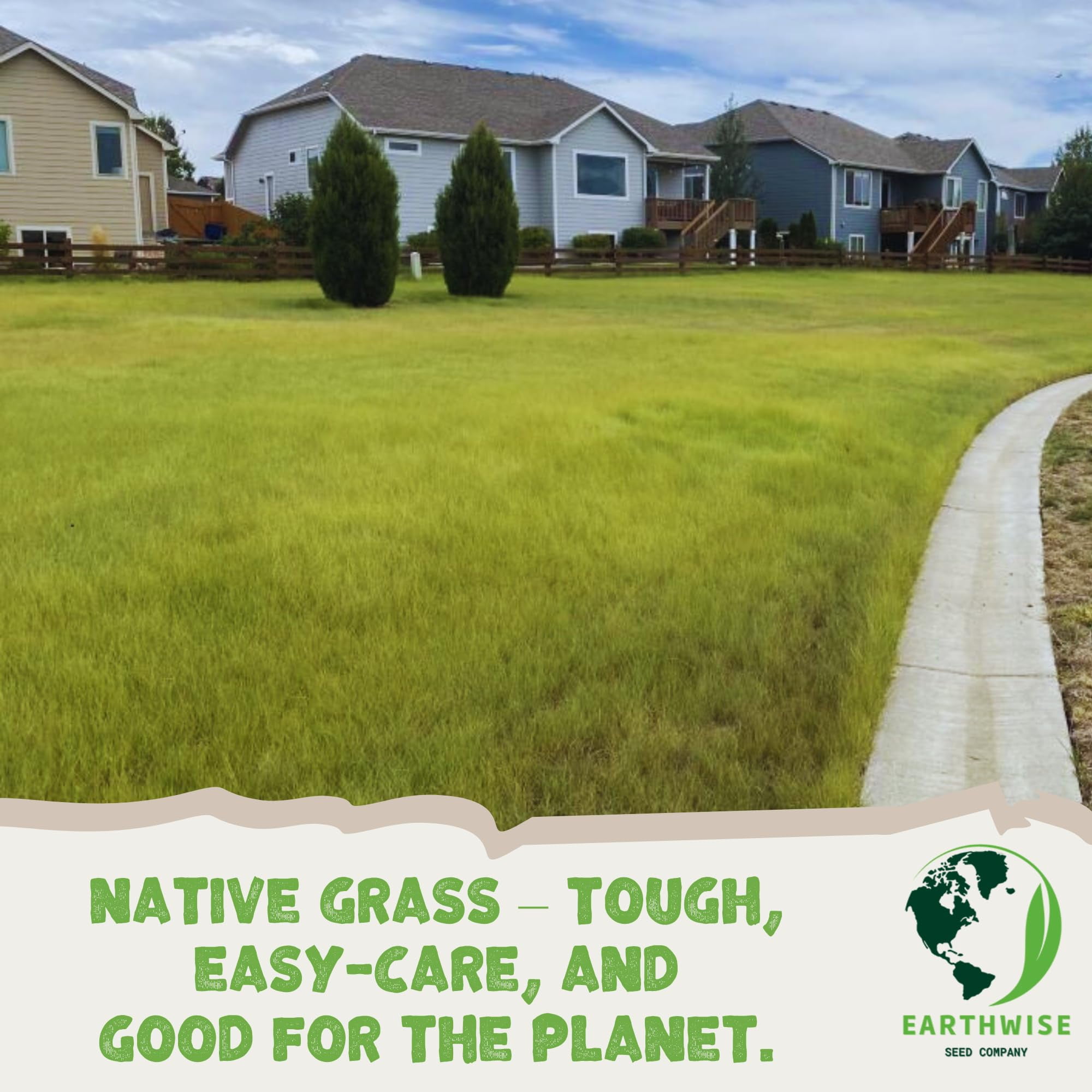 Earthwise TrueGrass Native Grass Seed Mix with Texoka Buffalograss and Blue Grama, Drought Tolerant Lawn Seed, 1 lb, Covers 500 Sq ft