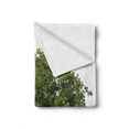 thumbnail image 2 of Tree Soft Flannel Fleece Throw Blanket, Bench Under Majestic Tree Looks Like Solitude in Habitat Environment Design, Cozy Plush for Indoor and Outdoor Use, 50" x 70", Green White, by Ambesonne, 2 of 6