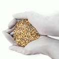 thumbnail image 4 of ⭐ All Season Palm, Ixora, and Ornamental Plant Food (8-4-8 Fertilizer) by Gardenera - Enhance the Health and Resilience of Your Ornamental Plants - 2 QUARTS, 4 of 7