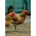 thumbnail image 4 of Tenax Poultry Fence, 25-ft x 3-ft, Black, Extruded Mesh Rolled Fencing, 4 of 6