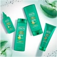 thumbnail image 5 of 2 Pack - Garnier Hair Care Fructis Grow Strong Conditioner 12 oz, 5 of 5