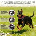 thumbnail image 5 of WAAYEEPAL Upgraded Tactical AirTag Dog Collar for Medium Large Dogs - Heavy Duty Adjustable with AirTag Holder (AirTag Not Included), 5 of 8