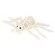 thumbnail image 5 of Esqueleto de araña de Halloween, esqueleto de animal, decoración de Halloween, accesorio de fiesta para fiesta en el jardín, fiesta, casa embrujada,, 5 of 8