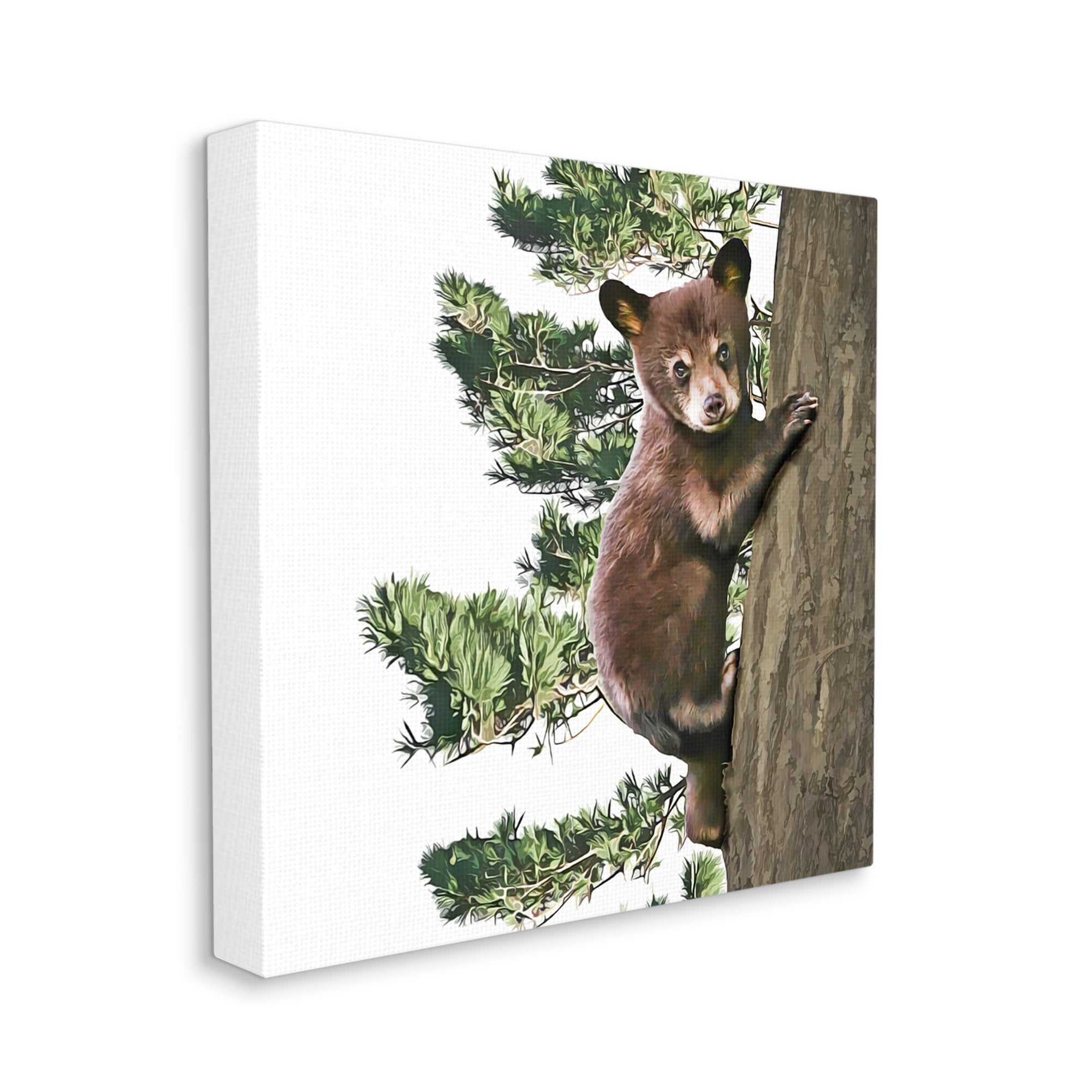 Stupell Bear Cub Climbing Tree Nature Animals & Insects Painting Gallery Wrapped Canvas Print Wall Art