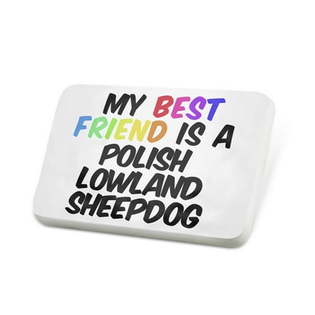 Porcelein Pin My best Friend a Polish Lowland SheepDog from Poland Lapel Badge –