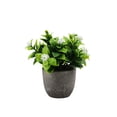 thumbnail image 1 of Advancent Árbol artificial del dinero de la durabilidad duradera verde en aspecto realista respetuoso del medio ambiente del pote Decoración nuevo aliento de bebé blanco, 1 of 6
