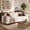 White, variant on 81" Soft Chenille Traditional Sofa, Comfy Couch Ergonomic Seating, Modern Sofa Couch Solid Wood Base for apartment lounge space, Green