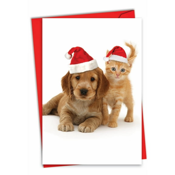 The Best Card Company Christmas Greeting Card with 5 x 7 Inch Envelope (1 Card) Merry Christmas Holiday Copy Cats C6596HXSG