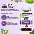 thumbnail image 4 of Herbion Elderberry Gummies with Vitamin C & Zinc - Healthy Immune System Support - Gluten-Free & Gelatin-Free - 60 Gummies for Adults & Children 4 Years & Above - Made in USA., 4 of 9