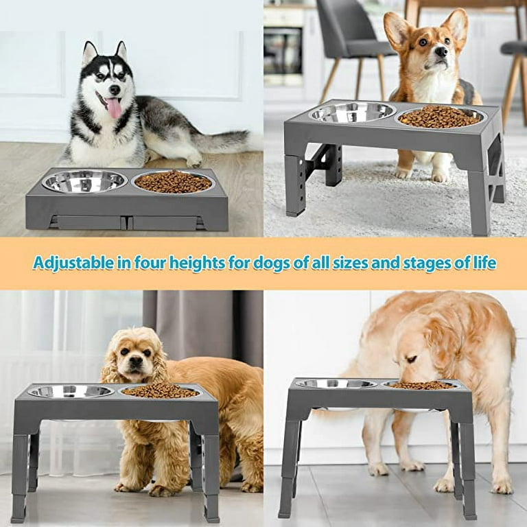 Pawque Elevated Dog Bowls for Large Medium Small Dogs With Storage, 4  Height Adjustable Raised Dog Bowl with Slow Fooding Bowl and Water Bowl, 2  Bowls 