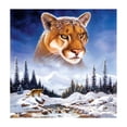 thumbnail image 1 of 5D bricolaje completo taladro diamante pintura nieve montaña tigre punto de cruz mosaico FLhrweasw Nuevo, 1 of 8