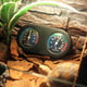 Peahefy Mini hygromètre analogique de thermomètre de forme ronde d'humidité de la température pour réservoir de reptiles, hygromètre de thermomètre, humidimètre de température – image 3 sur 8