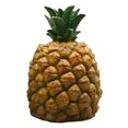 thumbnail image 1 of Lámpara De Césped De Piña Lámpara solar de piña para césped, IP55, resina artesanal, estatua de piña, luz de jardín (marrón) Ehuebsd Para estrenar, 1 of 8