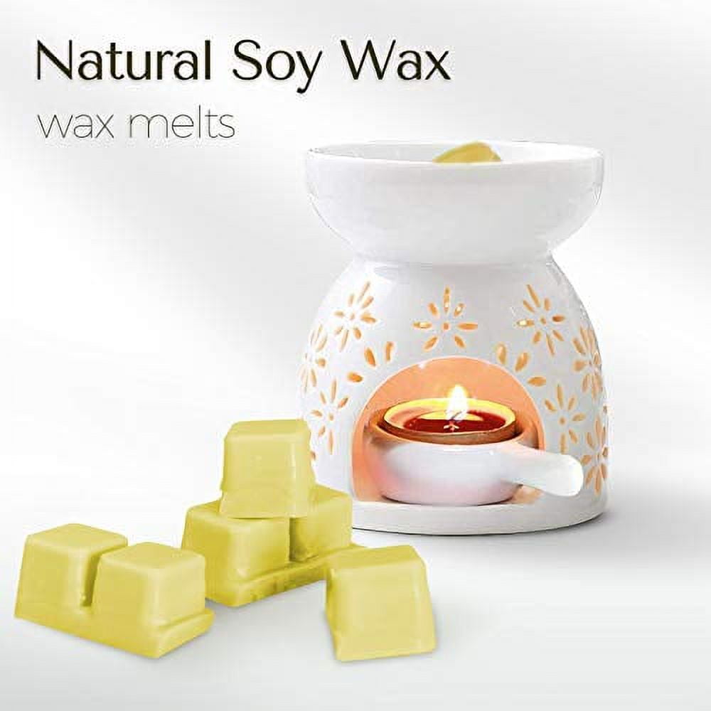 Buy SCENTORINI Scented Wax Melts, Wax Cubes, Scented Soy Wax Melts