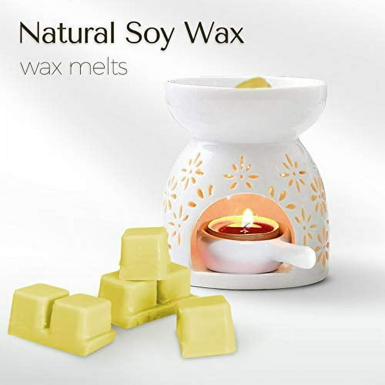 SCENTORINI Wax Melts, Scented Soy Wax Cubes for Wax Warmer, 8 x 2.5 oz, Sea Breeze, Linen, Winds in Summer, Espresso, Cherry, Raspberry & Cinnamon