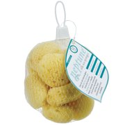 Neptune Sea Silk Sponge 12 Pack, Extra Small, Hand Cut, Approx. 1-2 inches.