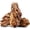 10.0-12.0 in, variant on 6.1-8.1 Inches Natural Dragon Stone, 6 PCS Large Aquarium Rocks for Aquascaping, Terrariums & Reptile Tank Decor