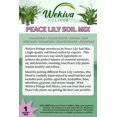 thumbnail image 2 of Peace Lily Growing Soil Mix  5 Quarts - Custom Soil Blend  Potting Mix for Peace Lily Plants  Specially Developed by and for Professional Nursery Growers - Nutrient-Rich Formula, 2 of 7