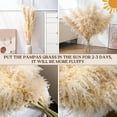 thumbnail image 4 of 24 pcs Tall Pampas Grass Decoration -  40 Inch Large Pampas Grass Dried Flower Decoration,for Bohemian Style Living Room Decoration, Wedding Decoration, Party, Farmhouse Decoration, 4 of 13