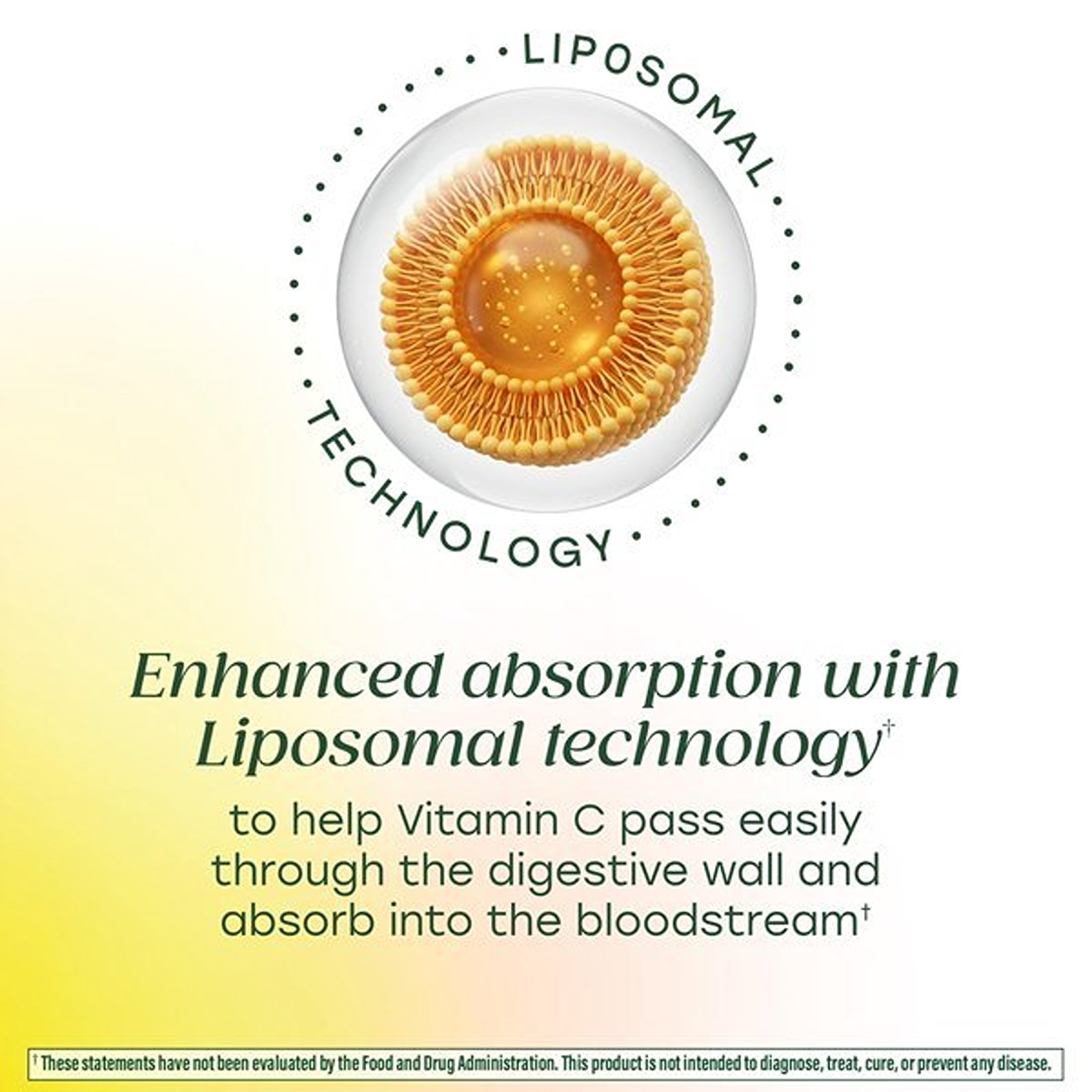 MegaFood Liposomal Vitamin C, 1000mg Per Serving, Skin & Immune Support - 60 Servings
