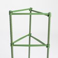 thumbnail image 3 of Garden Plant Support Tomato Cage, 3 of 5