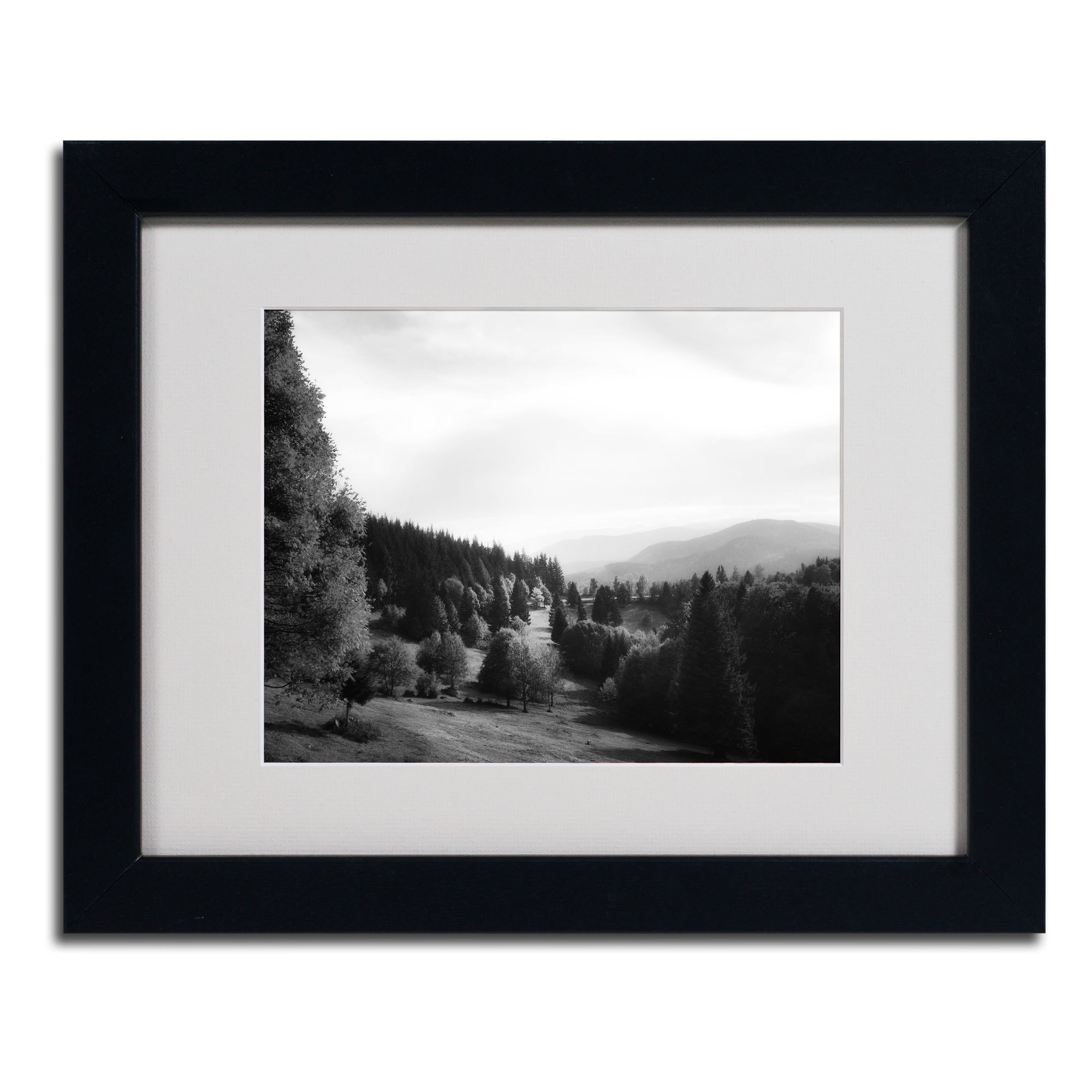 Trademark Fine Art "Spotlight" Canvas Art by Philippe Sainte-Laudy, Black Frame