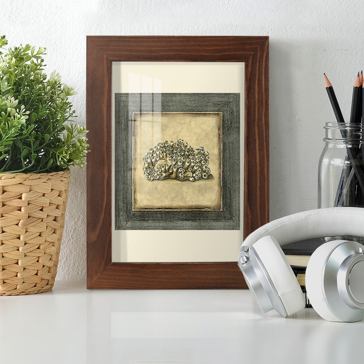 Mini Exotic Coral I (U) - Framed Print w/glass - Chestnut