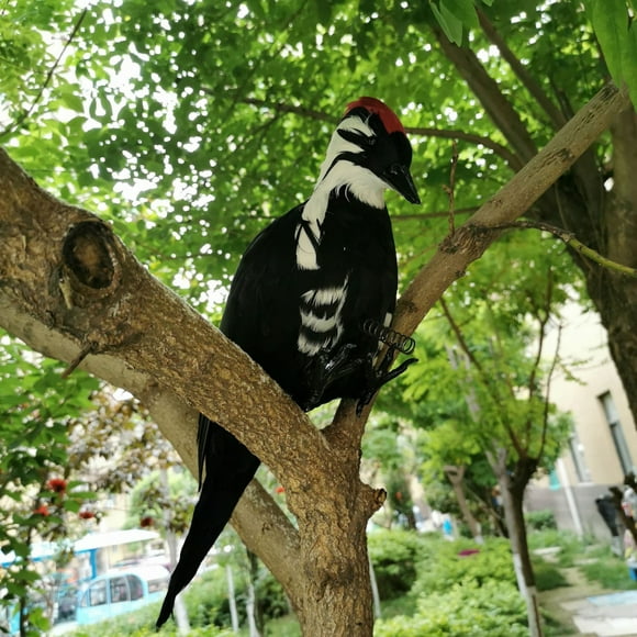 WIFKLSIIPG Lifelike Woodpecke with Real Feather, Woodpecker Deterrent,Home Decor