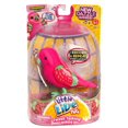 thumbnail image 1 of Little Live Pets Tweet Talking Birds Strawberry Belle Toy, 1 of 3