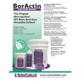 Boractin™ Insecticide Dust Crawling Insect Killer 1 lb Bottle by