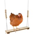 thumbnail image 4 of 2 Pcs Chicken Toys Suspensible Xylophone With 8 Metal Keys Swing Stand Perch Toy, 4 of 4