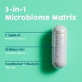 thumbnail image 5 of NativePath Complete Synbiotic, Pre, Pro and Postbiotic with Tributyrin, Gut Health, 60 Capsules, 5 of 8