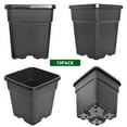 thumbnail image 4 of 10Pcs Plant Nursery Pots, 2 Gallon Thickened Soft Plastic Square Seedling Pots Seed Starting Pot Flower Herb Container for Succulents, Seedlings, Cuttings, Transplanting, Black, 4 of 8