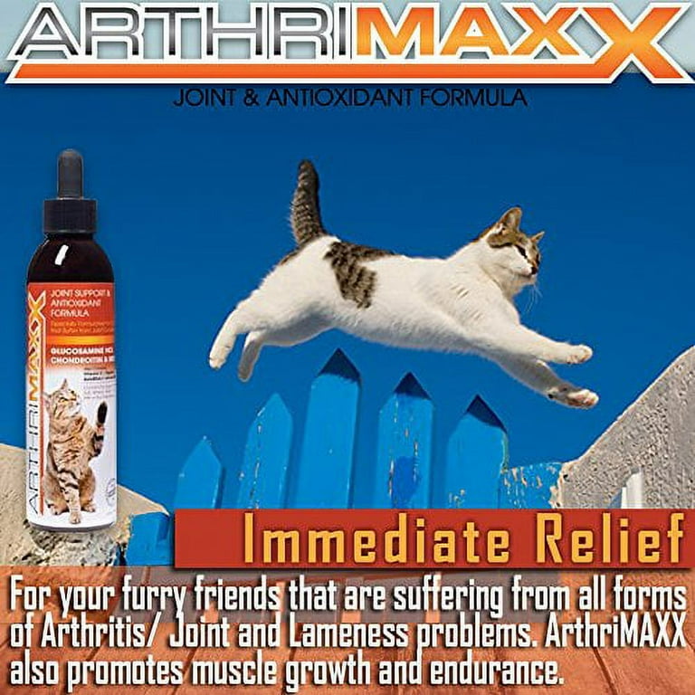 Liquid treatment for store cats with arthritis