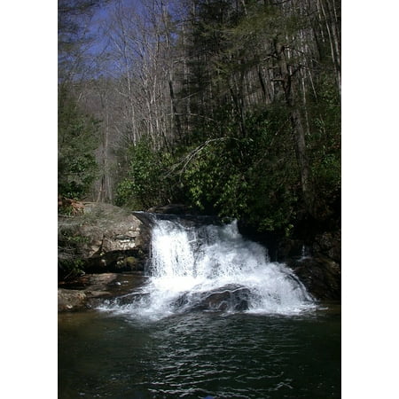 - Canvas Print Timber Creek Forest Trees Tree Hardwood Stream Stretched Canvas 10 x 14