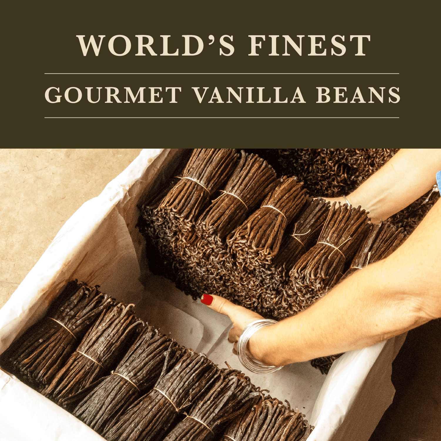 Cook’s, Madagascar Organic Vanilla Beans, Grade A, World’s Finest Gourmet Fresh Premium Vanilla, Certified Organic by CCOF, 25 Whole Beans