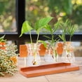 thumbnail image 2 of Plant Terrarium 3Vases with Wooden Stand Plant Rooting Container Home Office Decoration Gift Large bottle mouth, 2 of 5