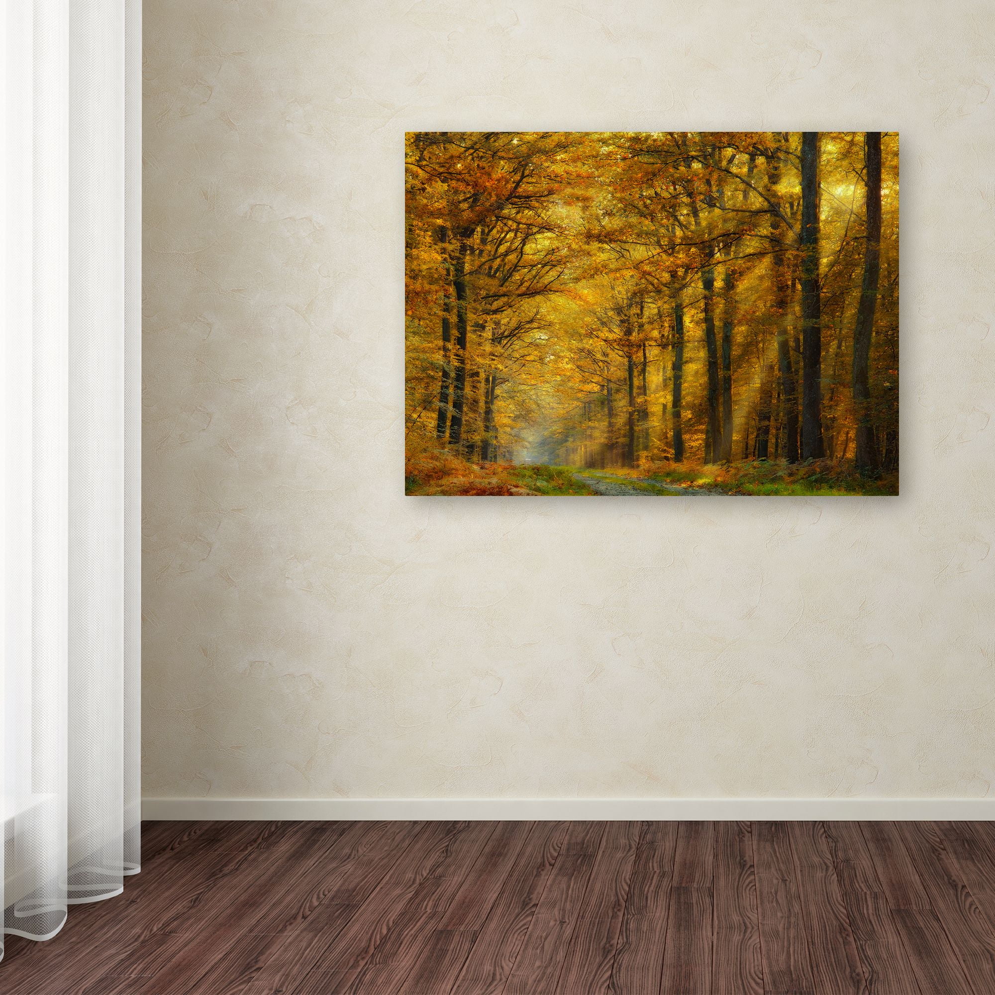 Trademark Fine Art 'Enchanted Forest' Canvas Art by Marianna Safronova