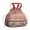 Pioneer Flower Floral-2, variant on Pioneer Flower Floral Print Pattern Drawstring Lunch Bag Women - Drawstring Lunch Bag Insulated for Work Office - Stain-Resistant Large Lunchbags for Women with Multi-Pockets