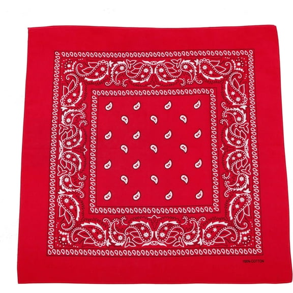 WEIFEI-100% Cotton Paisley Printed Bandanas 6 PCS 27x27 Inches Large Thick Scarfs Fashion Headwear for Men and Women
