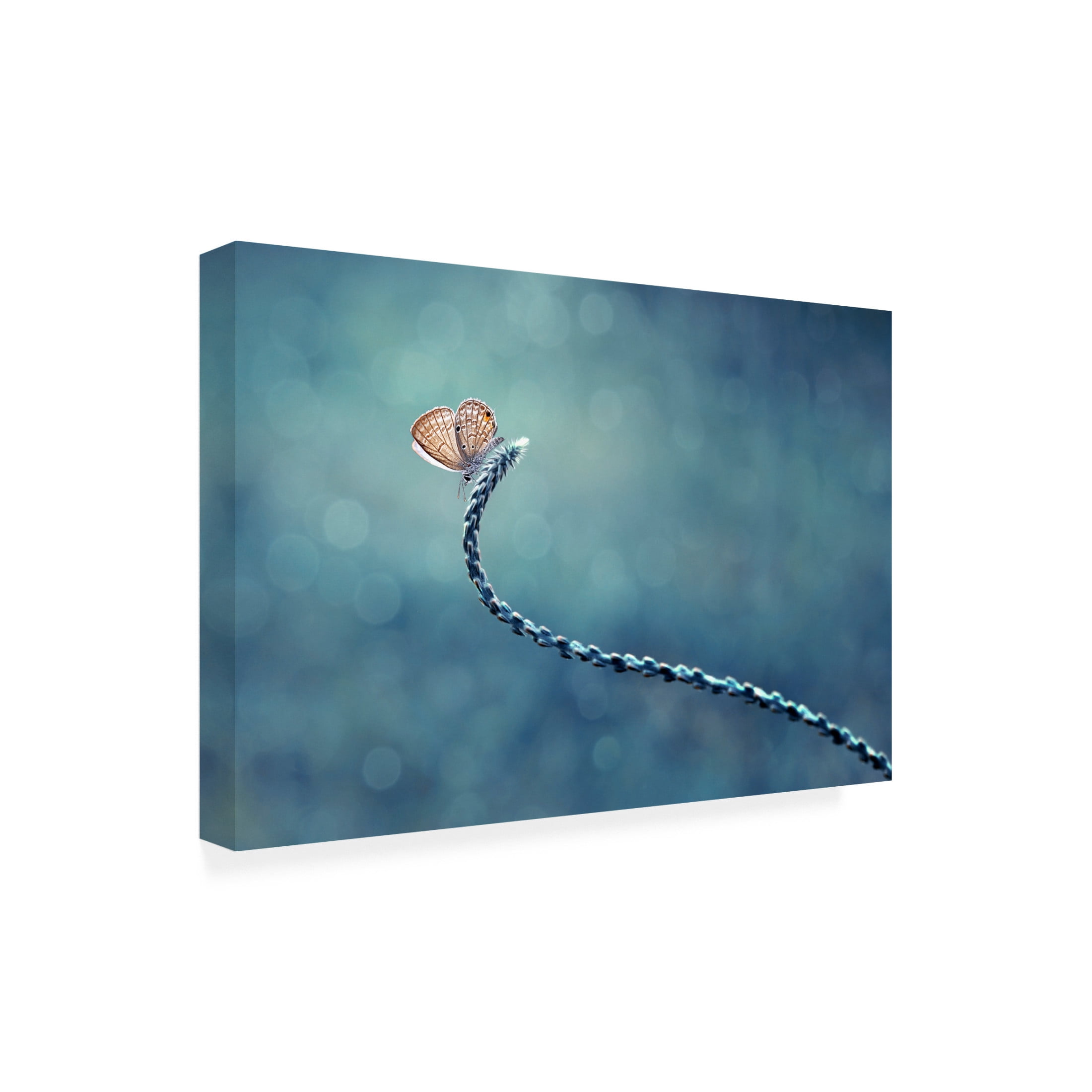 Canvas Wall Art - Edy Pamungkas 'Sendiri Lagi' Wall Art for Living Room, Bedroom, or Office D?cor by Trademark Fine Art - 32 x 22 Inches