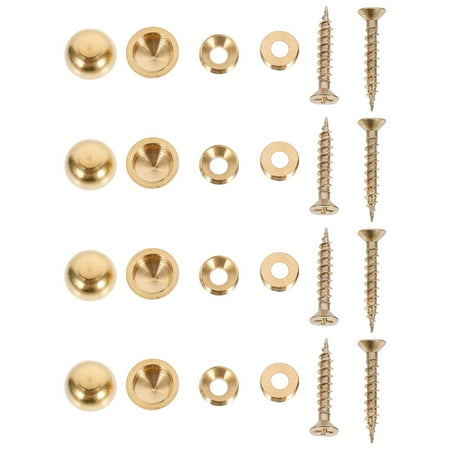 

Frcolor Screws Screw Nail Flat Head Board Clips Organizer Small Assortment Drywall Cover Covers Mirror Brass Decorative Tapping