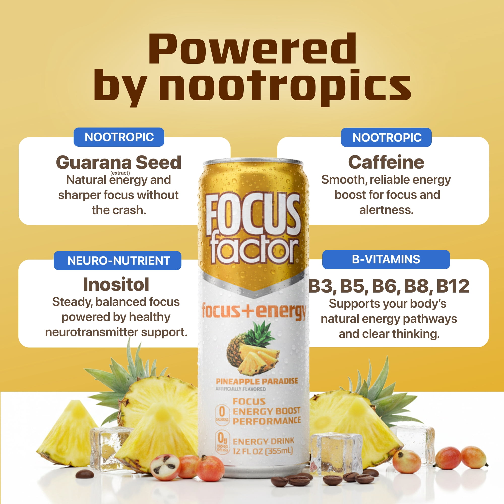 Focus Factor Energy Drink - 12 x 355ml Cans (Pineapple Paradise Flavor) - with Focus + Energy - Sugar Free, Low Calorie with Vitamin B6 & Vitamin B12