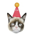 thumbnail image 3 of Decoraciones para fiestas de gatos (8 piezas), caras de gatos Banner de cumpleaños Gato de cumpleaños para gatitos Bday Party Bunting Decoraciones Adepaton HMYH517, 3 of 5