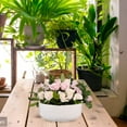 thumbnail image 4 of AMERTEER 1Pc Bonsai Flower Pot Simple Ceramic Plant Pots Creative Planter Container for Garden (White), 4 of 6