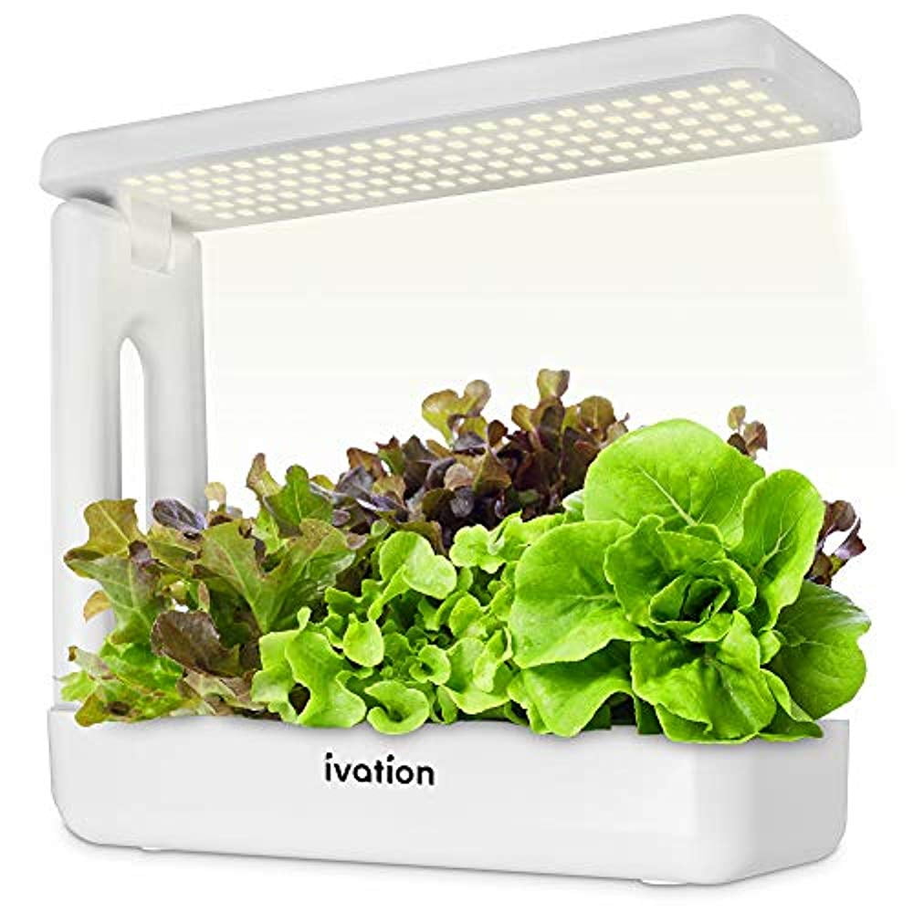Herbs and Vegetables Smart Indoor Hydroponic Home Garden Kit LED VegeBox Home 