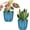 Klein Blue, variant on 2 Pack Self Watering Pots, 5.7 Inch, with Drainage Holes, Gray | Plastic Garden Planter with Water Filling Port for Indoor