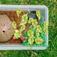 thumbnail image 1 of HEALEEP De Reptil Para Terrario Con Ventosas Material ABS Duradero Multicolor, 1 of 6