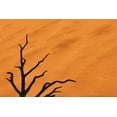 thumbnail image 2 of Kaveney, Wendy 32x23 Gold Ornate Wood Framed with Double Matting Museum Art Print Titled - Namibia, Dead Vlei Tree branches and sand dune, 2 of 4