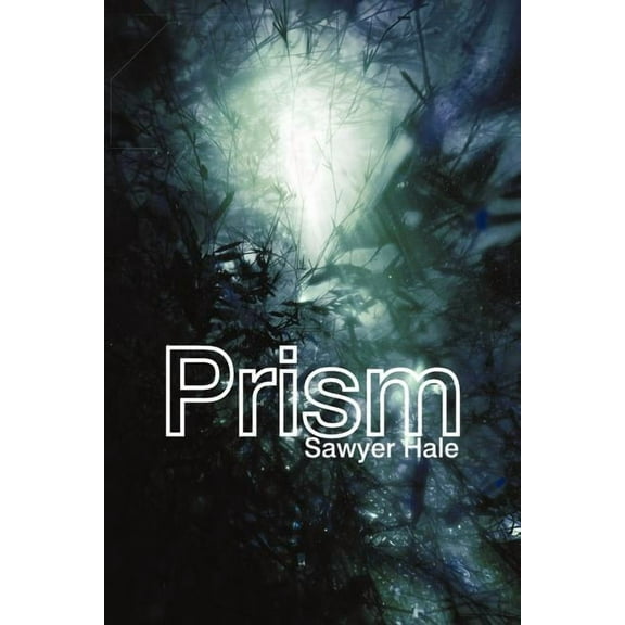 Prism (Paperback)